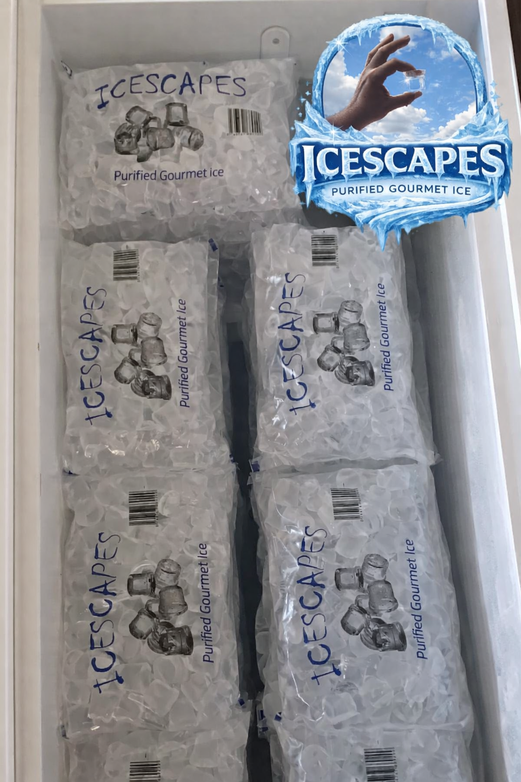 Icescapes Party Bag Ice